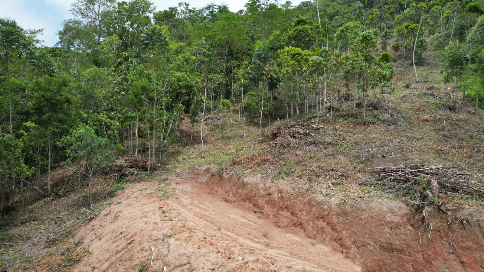 WhatsApp Image 2024-06-23 at 12.36.07