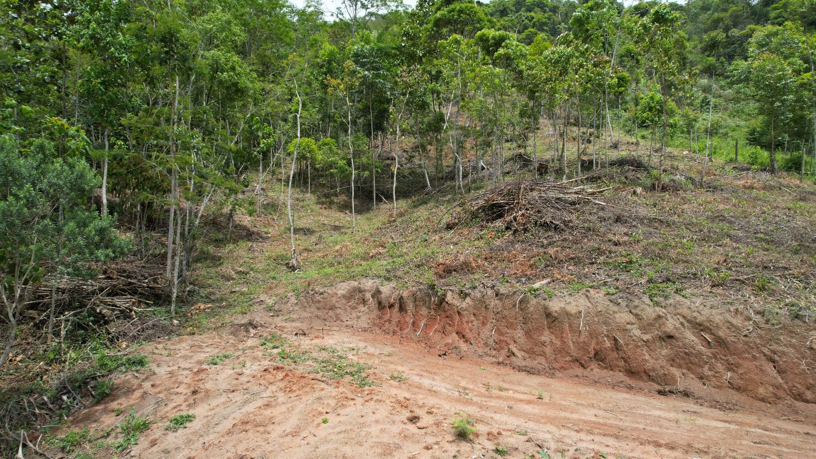 WhatsApp Image 2024-06-23 at 12.36.08