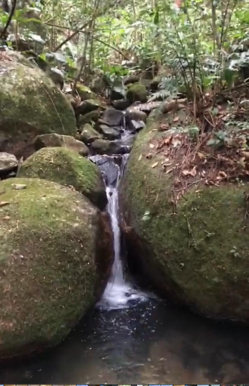 WhatsApp Image 2024-06-23 at 22.03.04