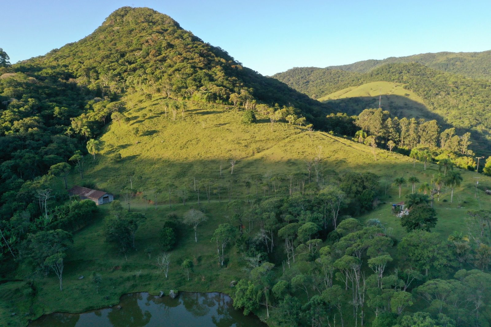 WhatsApp Image 2024-08-14 at 19.57.05 (1)