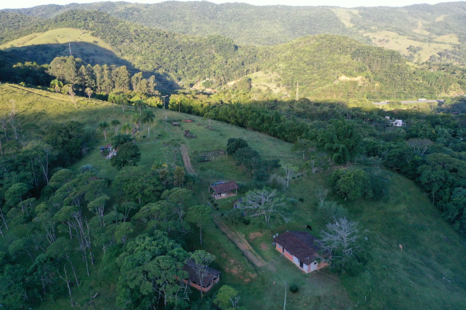 WhatsApp Image 2024-08-14 at 19.57.05 (3)