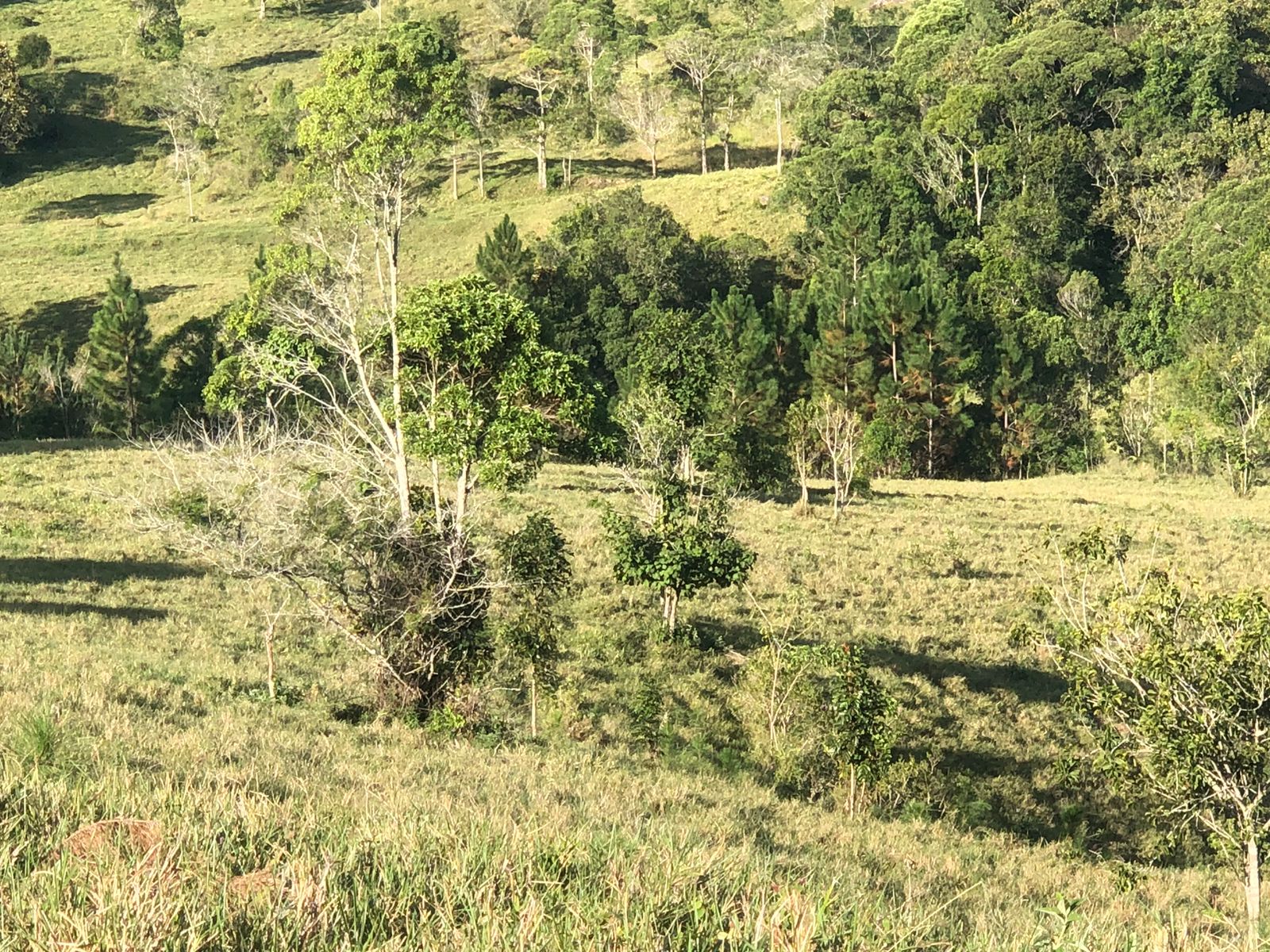 IMG-20230515-WA0074