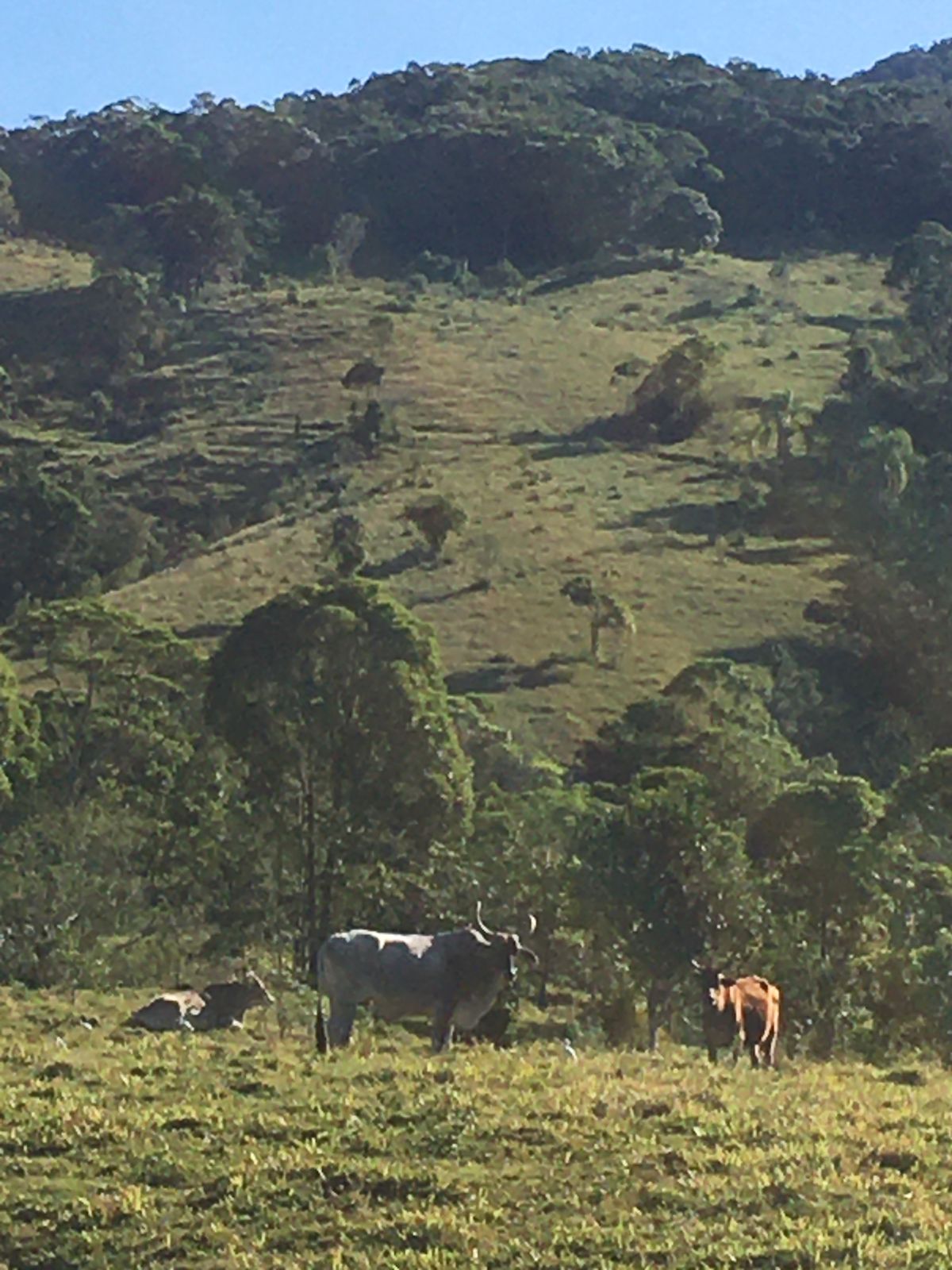 IMG-20230515-WA0080