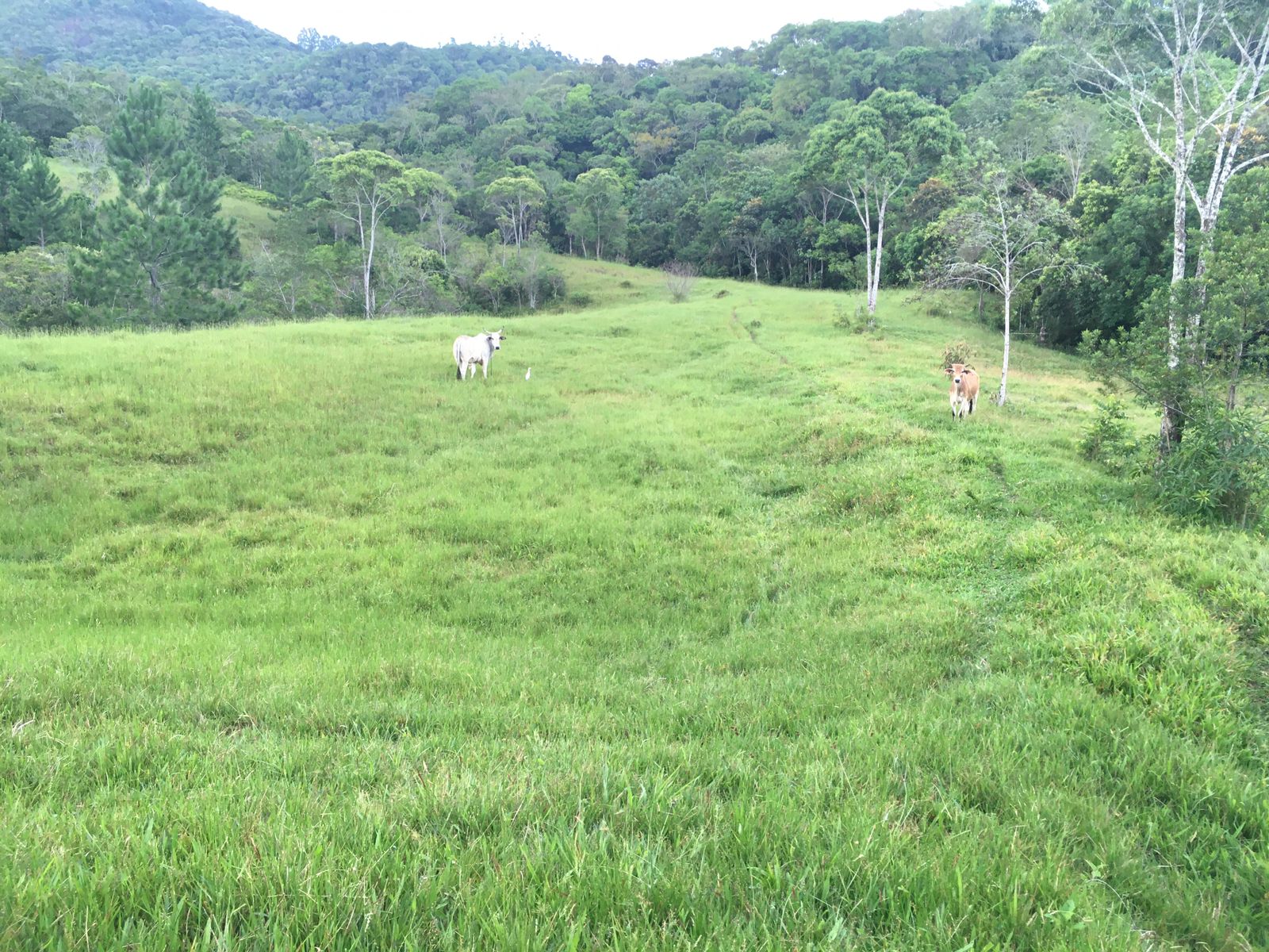 IMG-20230515-WA0089