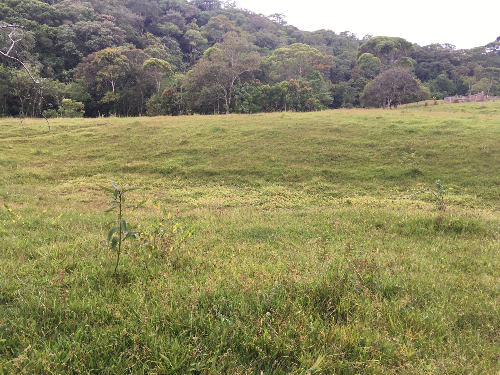 IMG-20230515-WA0093