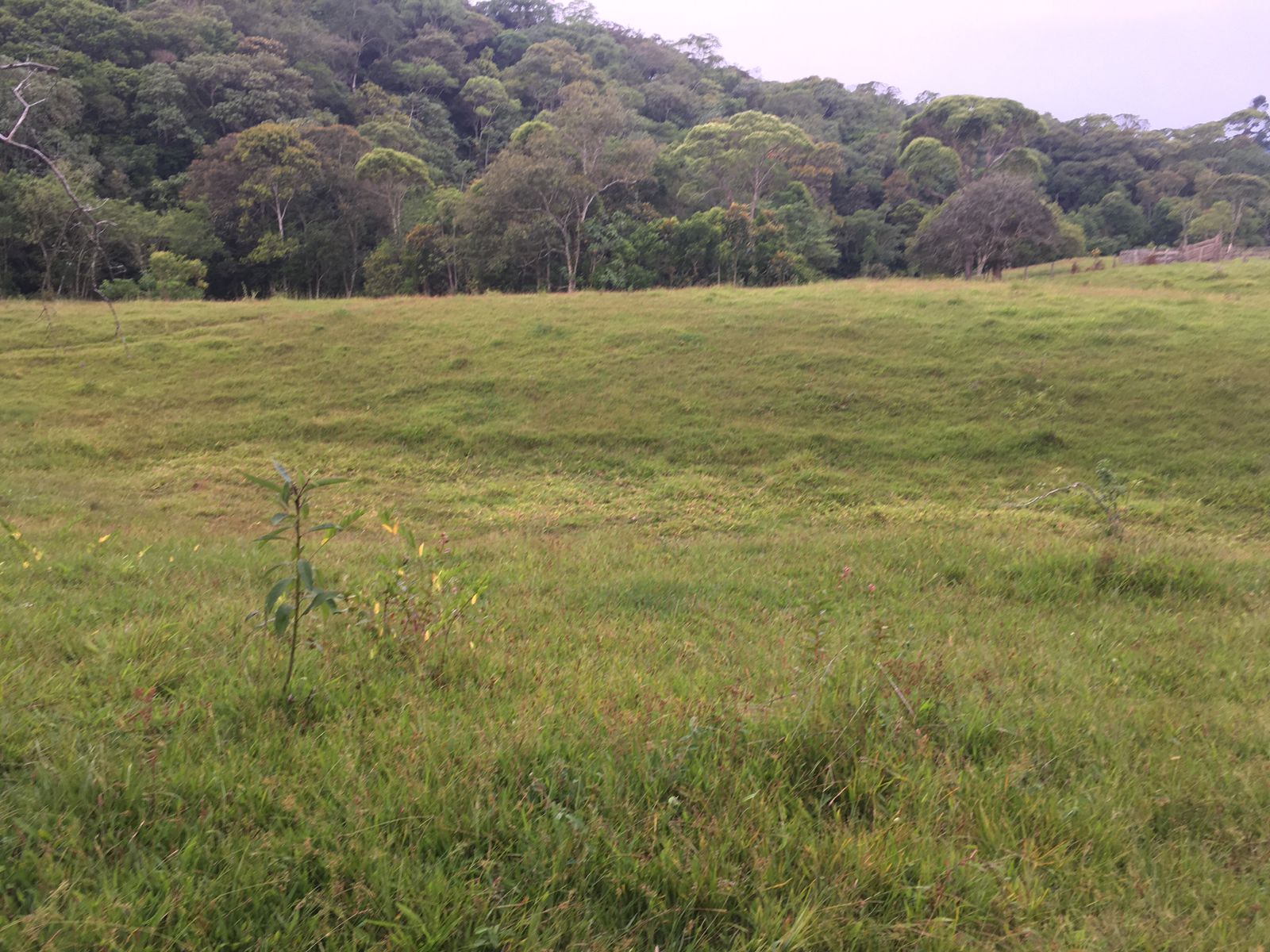 IMG-20230515-WA0094